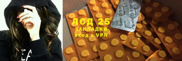 spice Аркадак