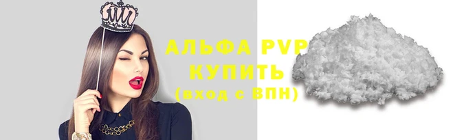 spice Аркадак