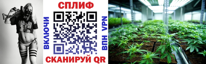 цены   Нефтекумск  Каннабис сатива 